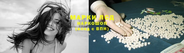 PSILOCYBIN Аркадак