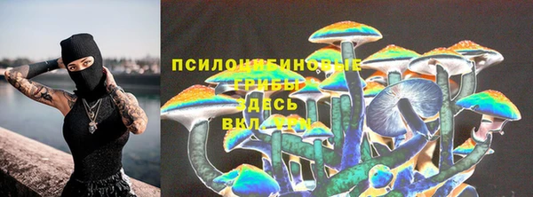PSILOCYBIN Аркадак
